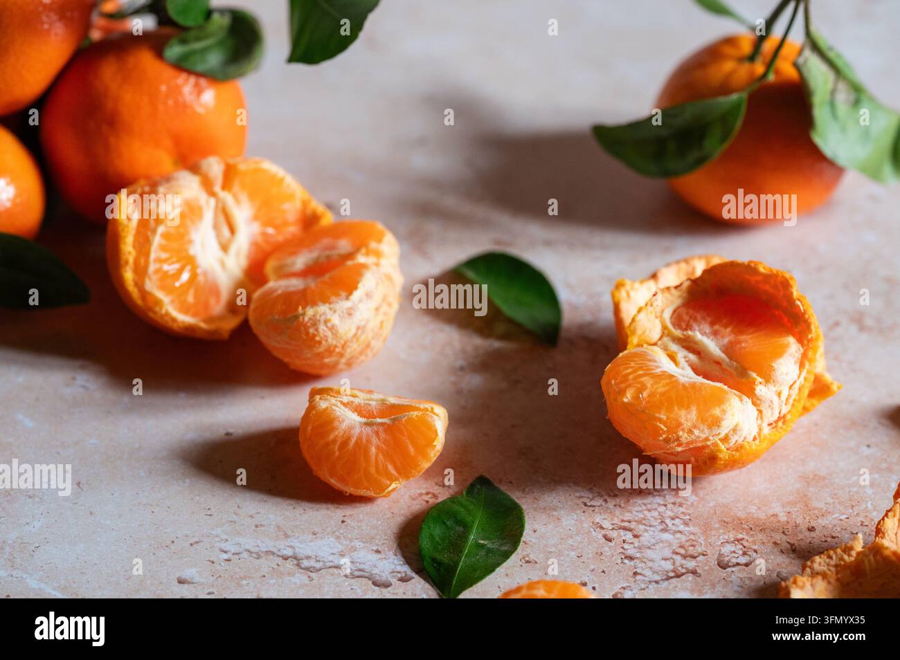 Frische Mandarinen mit geschälten Segmenten, strukturierter Schale und glänzenden grünen Blättern, die auf einer rustikalen hellen Oberfläche arrangiert sind und ein lebendiges saisonales Zitrusarrangement bilden Stockfoto