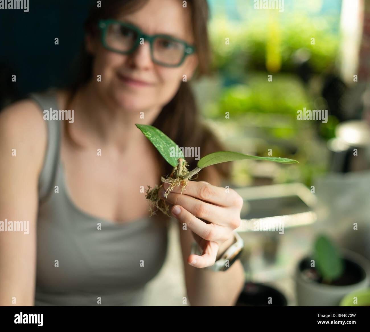 Sanfte Hände umschließen eine winzige Pflanze mit Blättern und Keimling in Nahaufnahme mit hellem Bokeh. Zarte Finger halten Innengrün und Laub mit liebevoller Fürsorge als friedliches Gartendetail. Stockfoto
