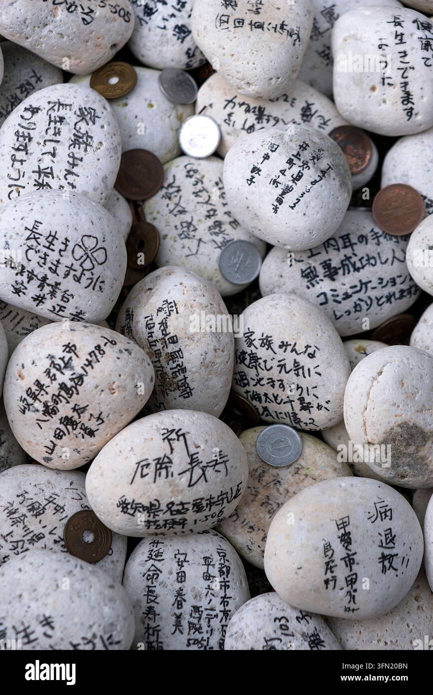 Botschaften, die auf weißen „Lebenssteinen“ (寿命石) geschrieben sind, ähnlich den Ema-Plaketten mit Wünschen der Hoffnung für die Shinto-Schreingottheit am Taga-Taisha-Schrein in Hikone, Japan. Stockfoto