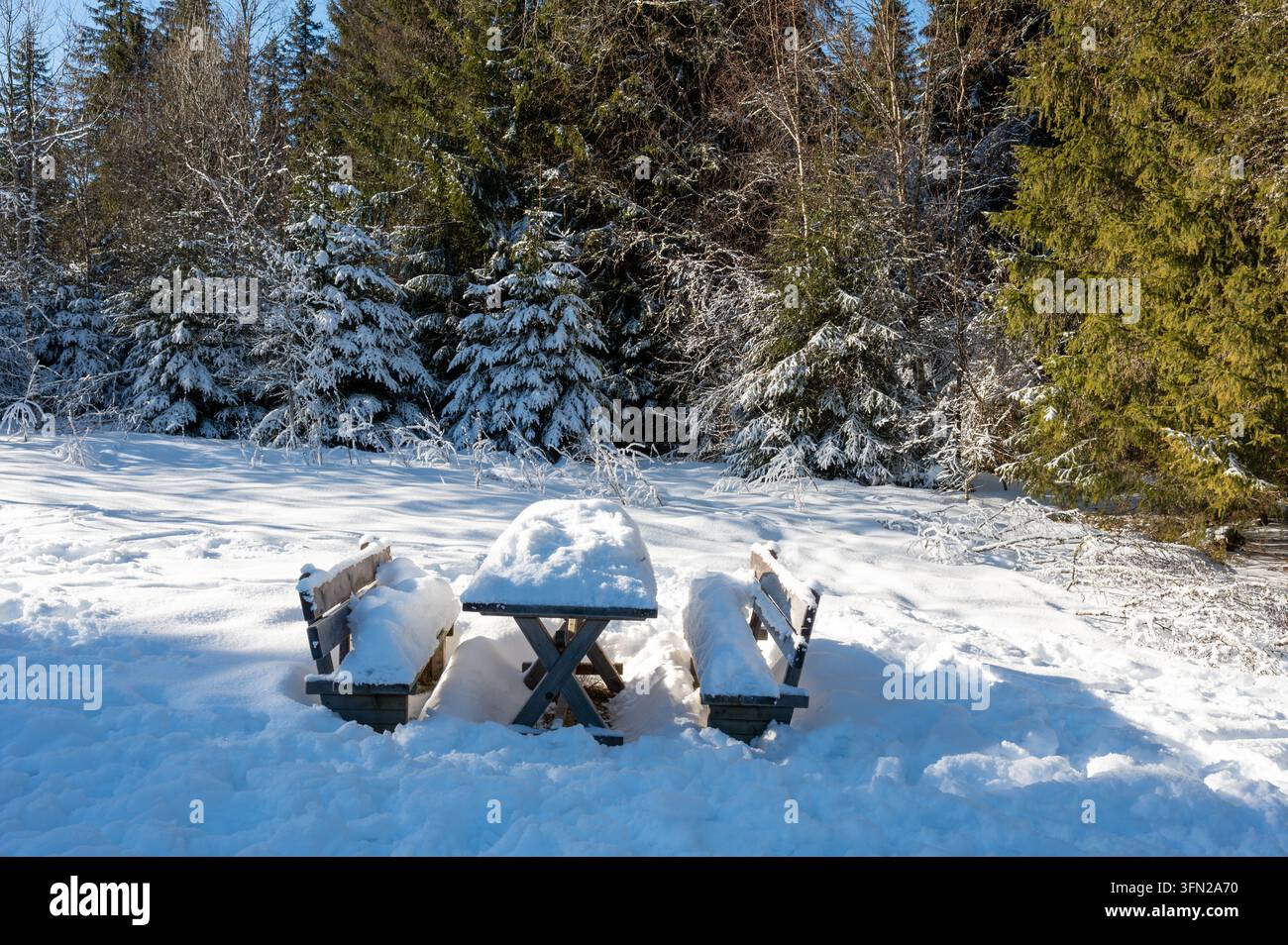 Holztisch und Bank, die mit Schnee bedeckt sind, in einer friedlichen Winterlandschaft, die eine einfache und stimmungsvolle Außenszene schafft. Stockfoto