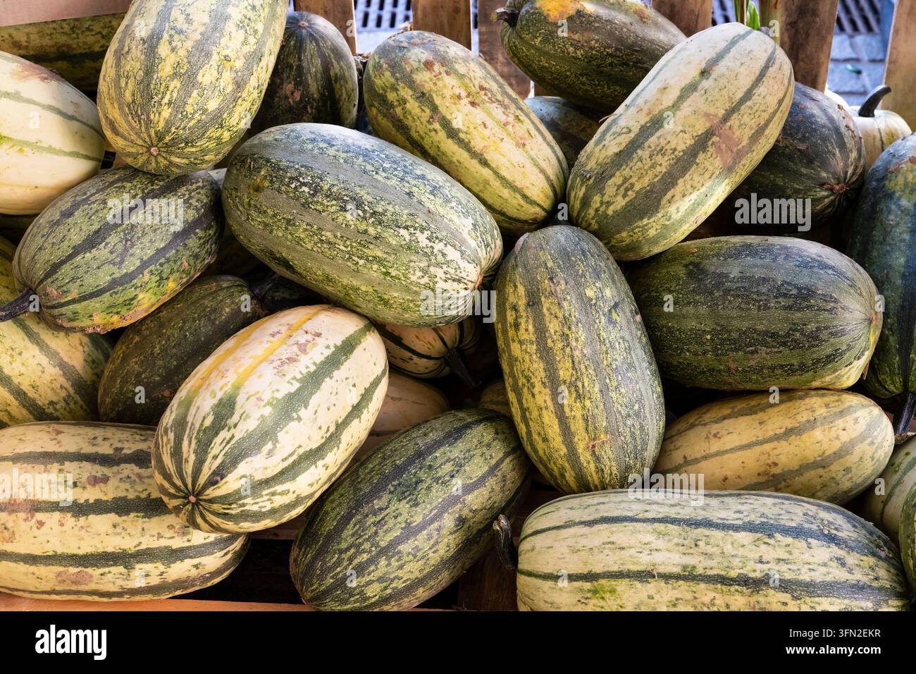 Einige Kürbisse Stockfoto