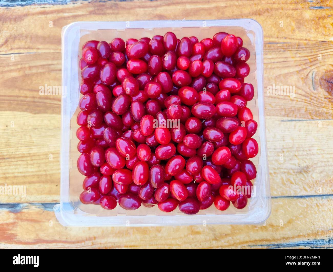 Nahaufnahme von frischen roten Kornelkirsch, die das Bild ausfüllen und eine helle natürliche Fruchttextur und einen Hintergrund erzeugen. Stockfoto