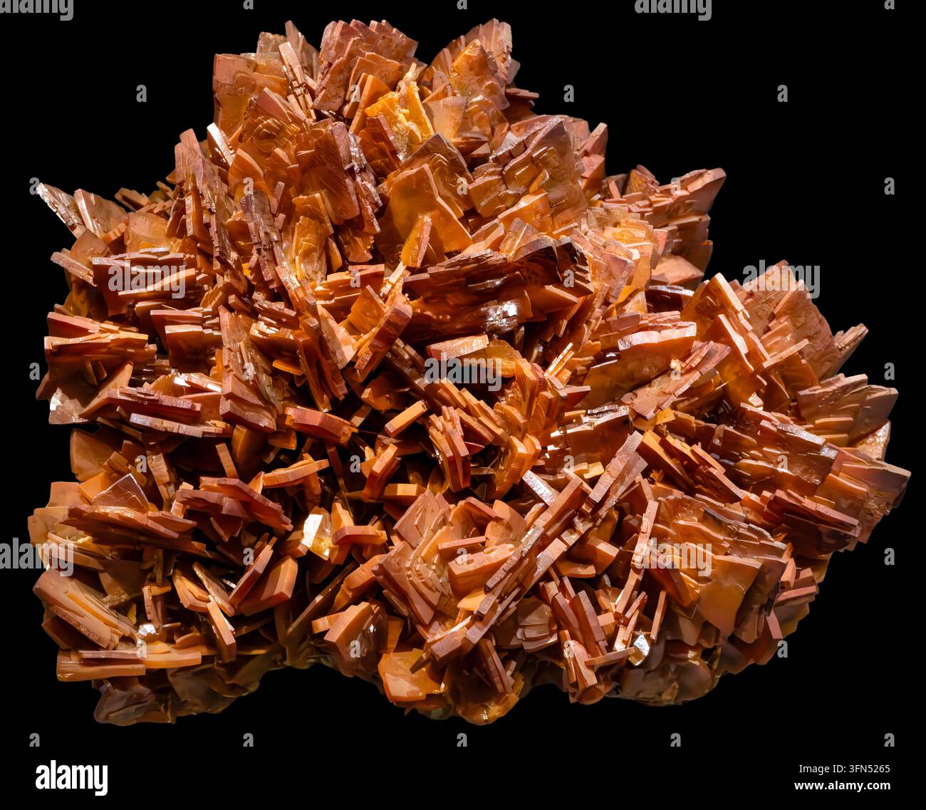 Wulfenit ist ein Bleimolybdatmineral, PbMoO₄, das vor allem für seine dünnen, tabulären Kristalle und seine leuchtenden gelben, orangen und butterscotchfarbenen Farben bekannt ist. Stockfoto