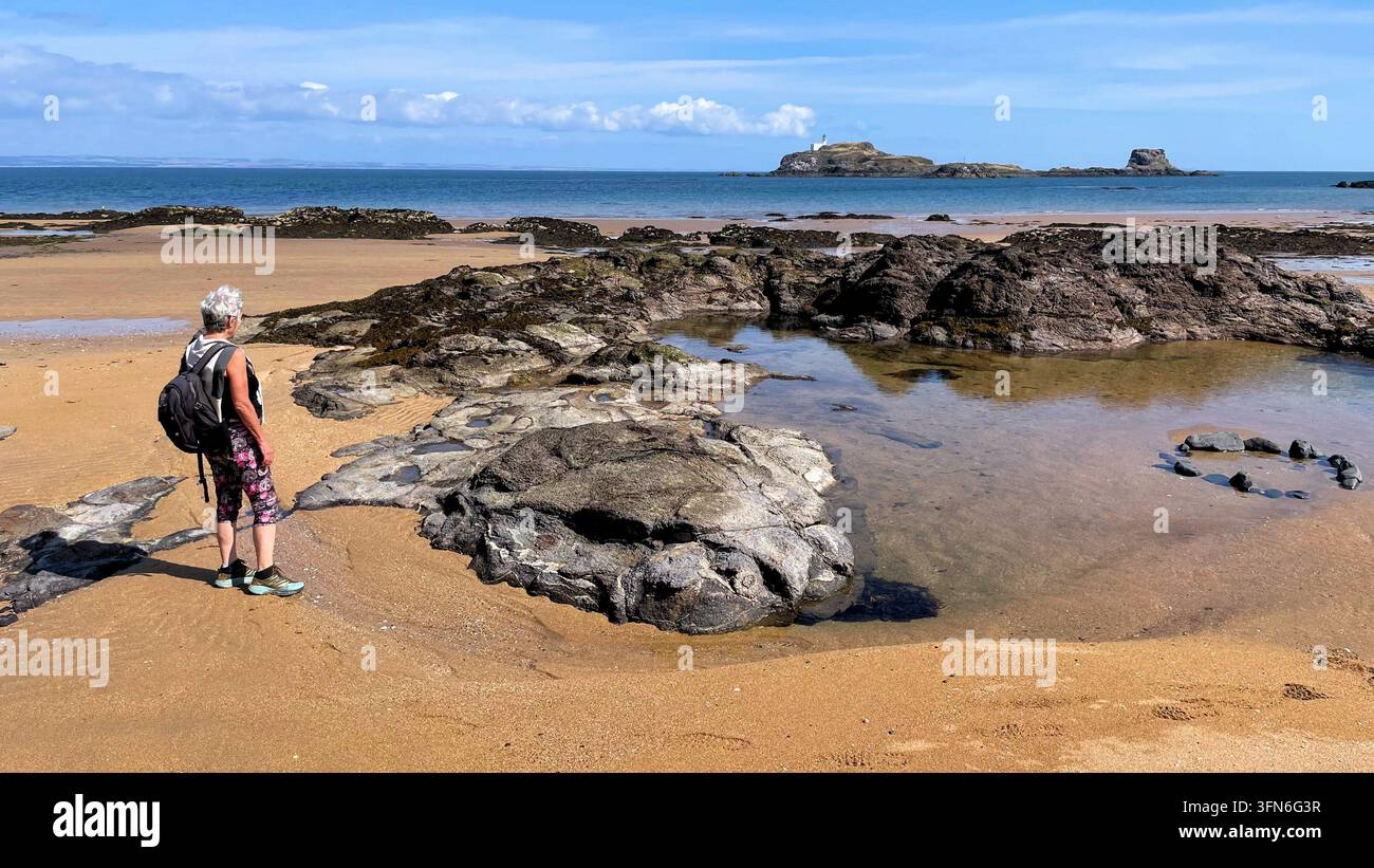 Frau Walker am Yellowcraig-Strand mit Blick auf den Fidra-Leuchtturm in der Forth-Mündung an einem schönen Tag mit blauem Himmel, East Lothian, Schottland - Smartphone-aufgenommenes Stockfoto