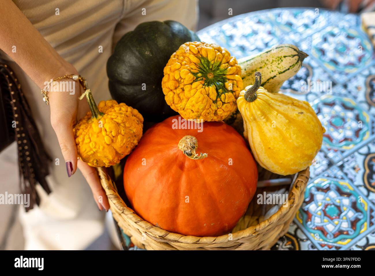 Frau hält einen Weidenkorb gefüllt mit bunten Kürbissen und Kalebassen, lebhafte Herbsternte mit dekorativem saisonalem Gemüse. Stockfoto