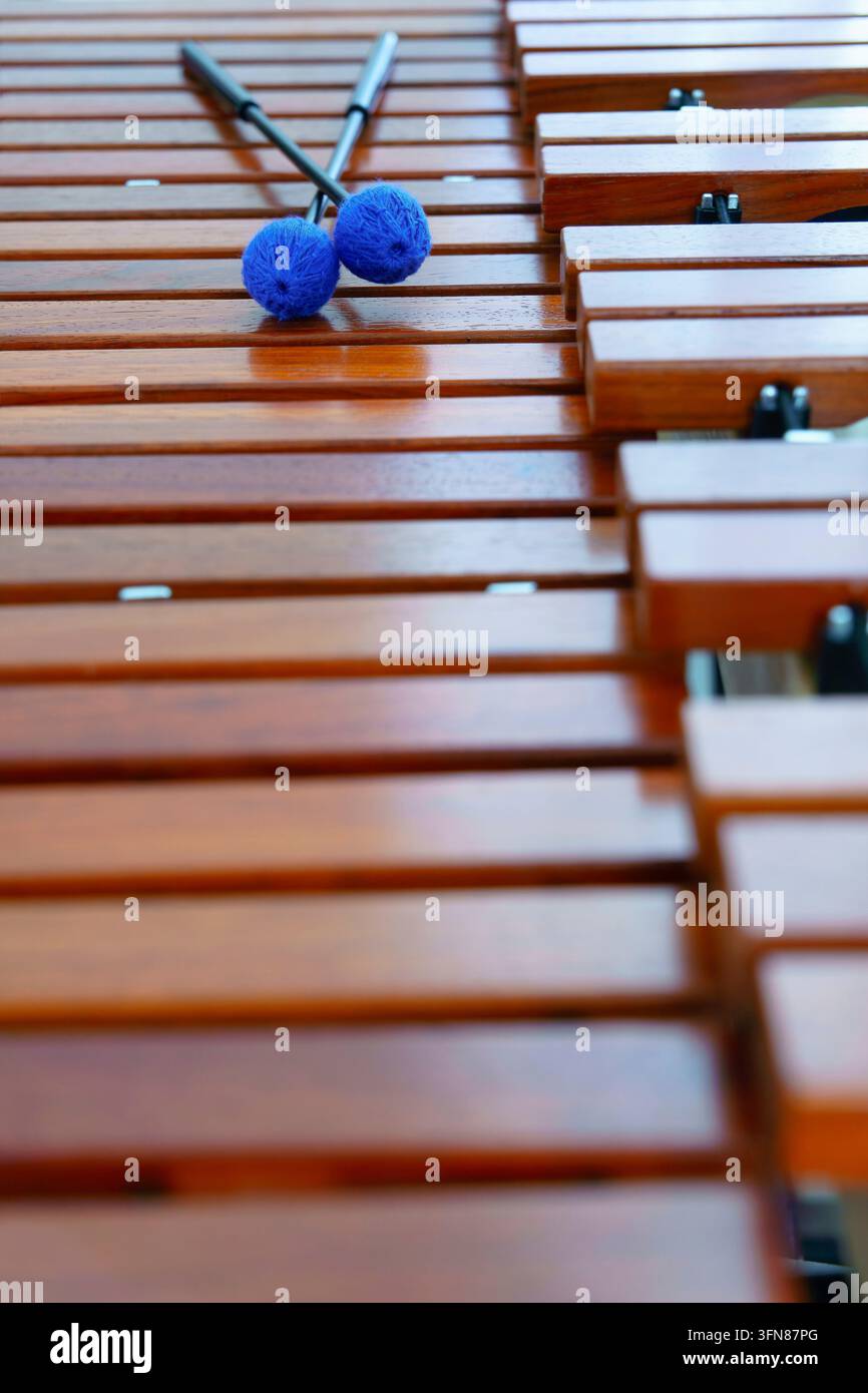 Marimba mit blauen Garnschlägeln auf Holzstäben, betont Musikinstrument, Rhythmus und akustischen Klang Stockfoto