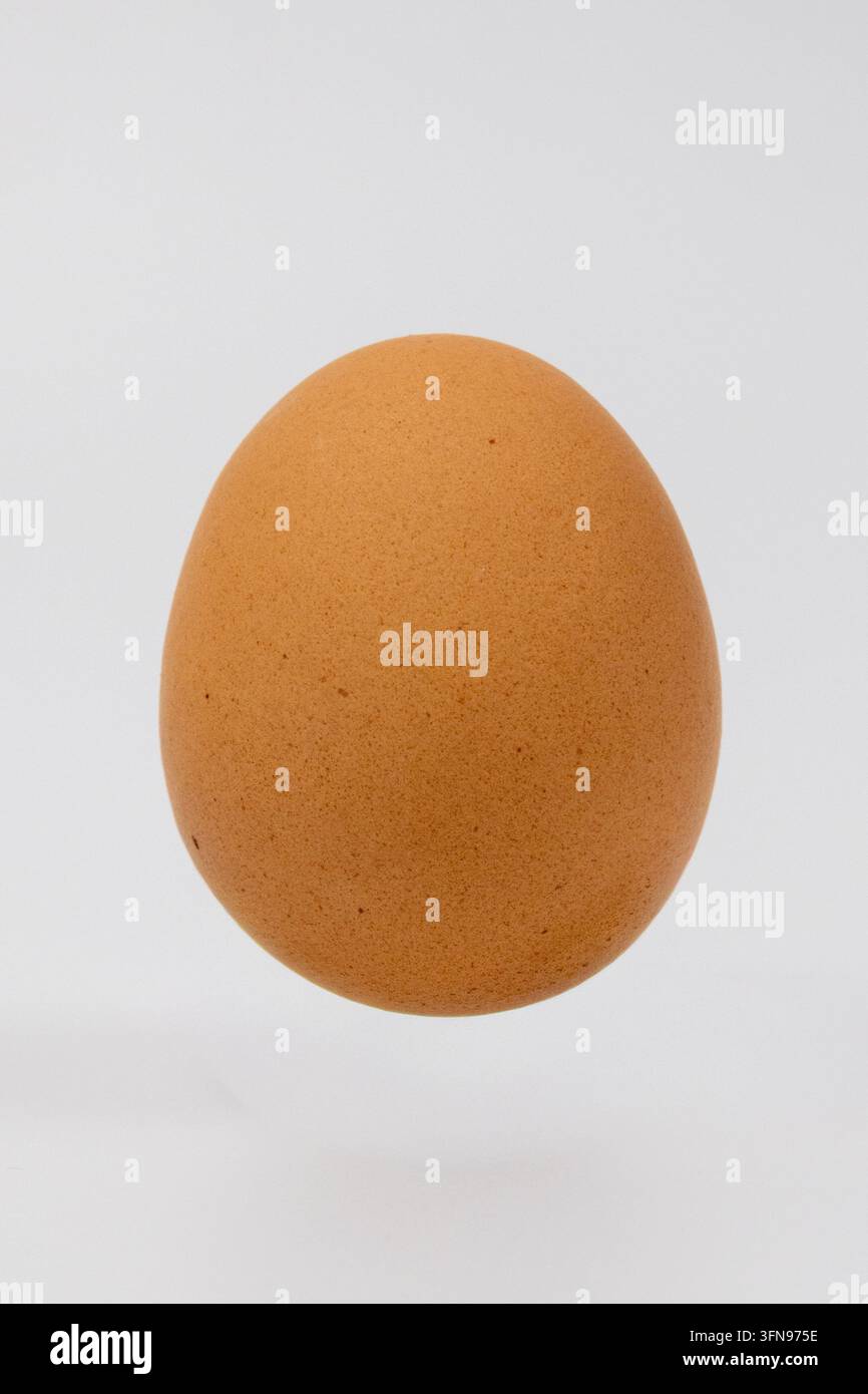 Braunes HühnerEi schwebt über einer sauberen weißen Oberfläche. Die glatte Schale zeigt eine natürliche Textur mit feinen Poren und winzigen dunklen Flecken. Sanft diffuses Stockfoto