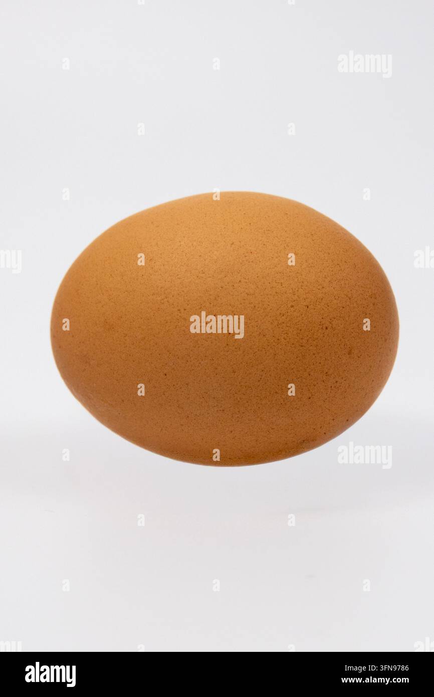Braunes HühnerEi schwebt über einer sauberen weißen Oberfläche. Die glatte Schale zeigt eine natürliche Textur mit feinen Poren und kleinen Flecken. Weicher diffuses Schatten Stockfoto