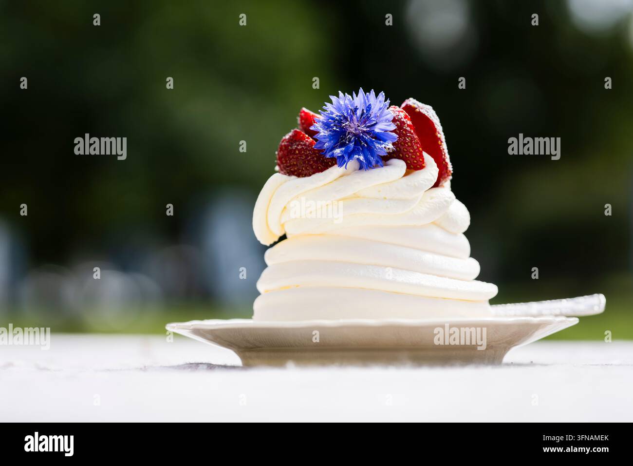 Pavlova-Dessert mit Schlagsahne, frischen Erdbeeren und einem zarten blauen Kornblumen, präsentiert auf einem weißen Servierteller und im Freien gehalten. Stockfoto