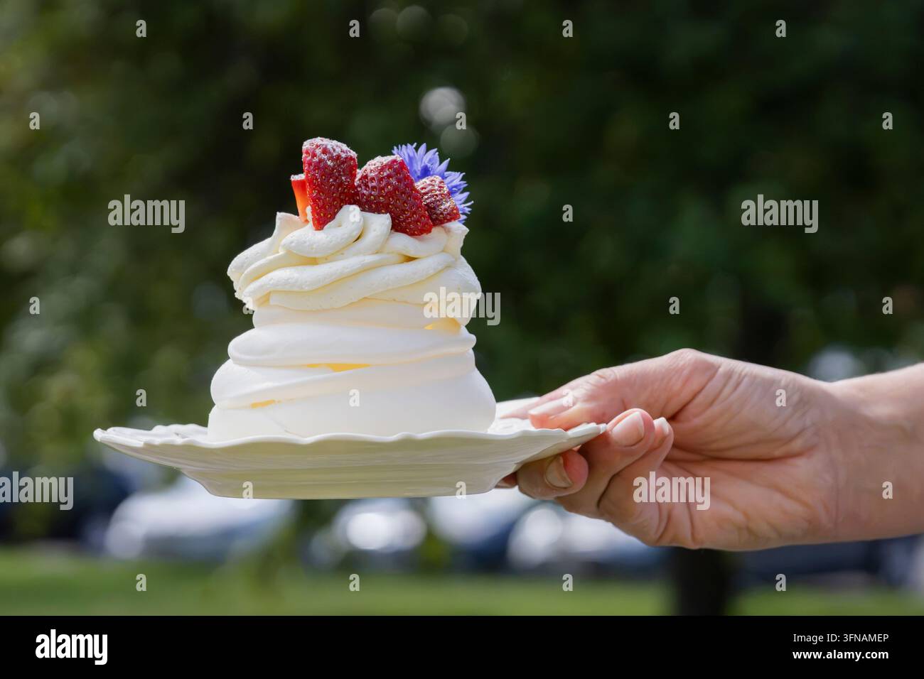 Pavlova-Dessert mit Schlagsahne, frischen Erdbeeren und einem zarten blauen Kornblumen, präsentiert auf einem weißen Servierteller und im Freien gehalten. Stockfoto