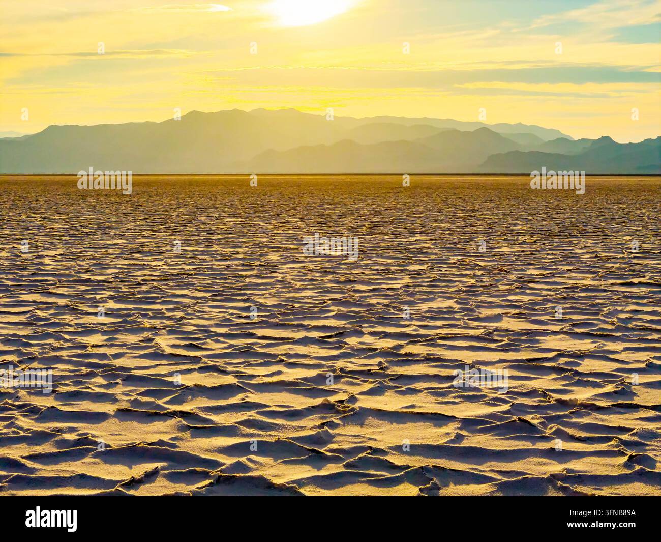 Warmes goldenes Sonnenlicht offenbart weitläufige geometrische hexagonale Salzkrustmuster über den Bonneville Salt Flats in Utah Stockfoto