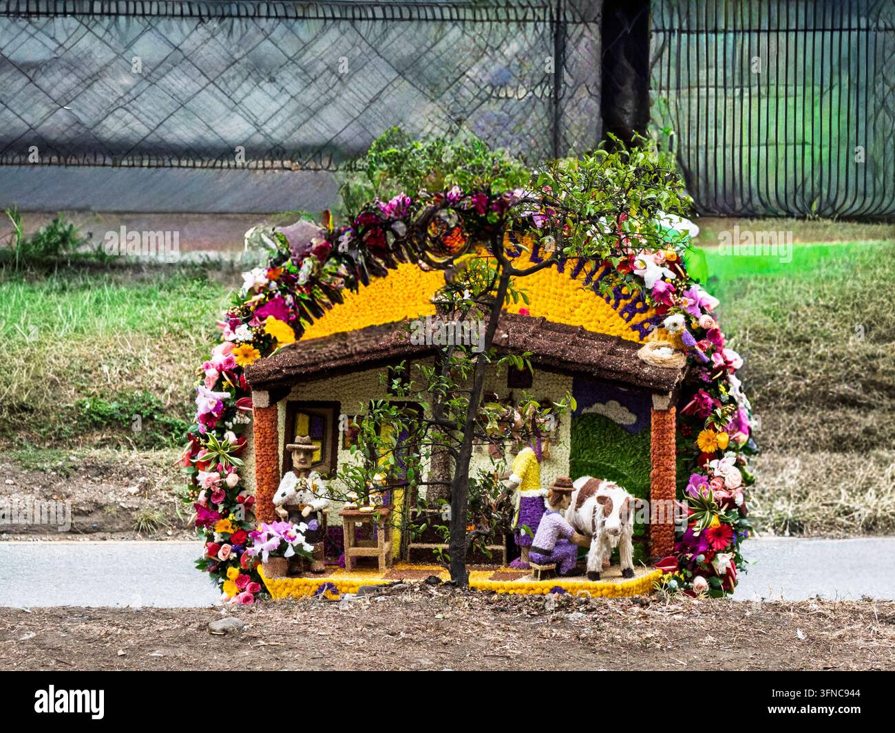 Ein spektakuläres kreisförmiges Blumendekor eines Silleteros mit einem 3D-Modell eines traditionellen Landhauses mit menschlichen Figuren und einer Kuh. Feria de las Flores. Stockfoto