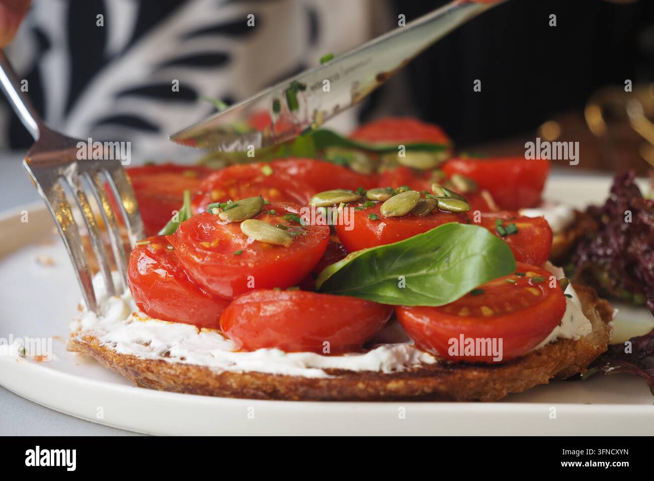 eine Scheibe geröstetes Brot, belegt mit einer cremigen weißen Käseaufstrich Stockfoto
