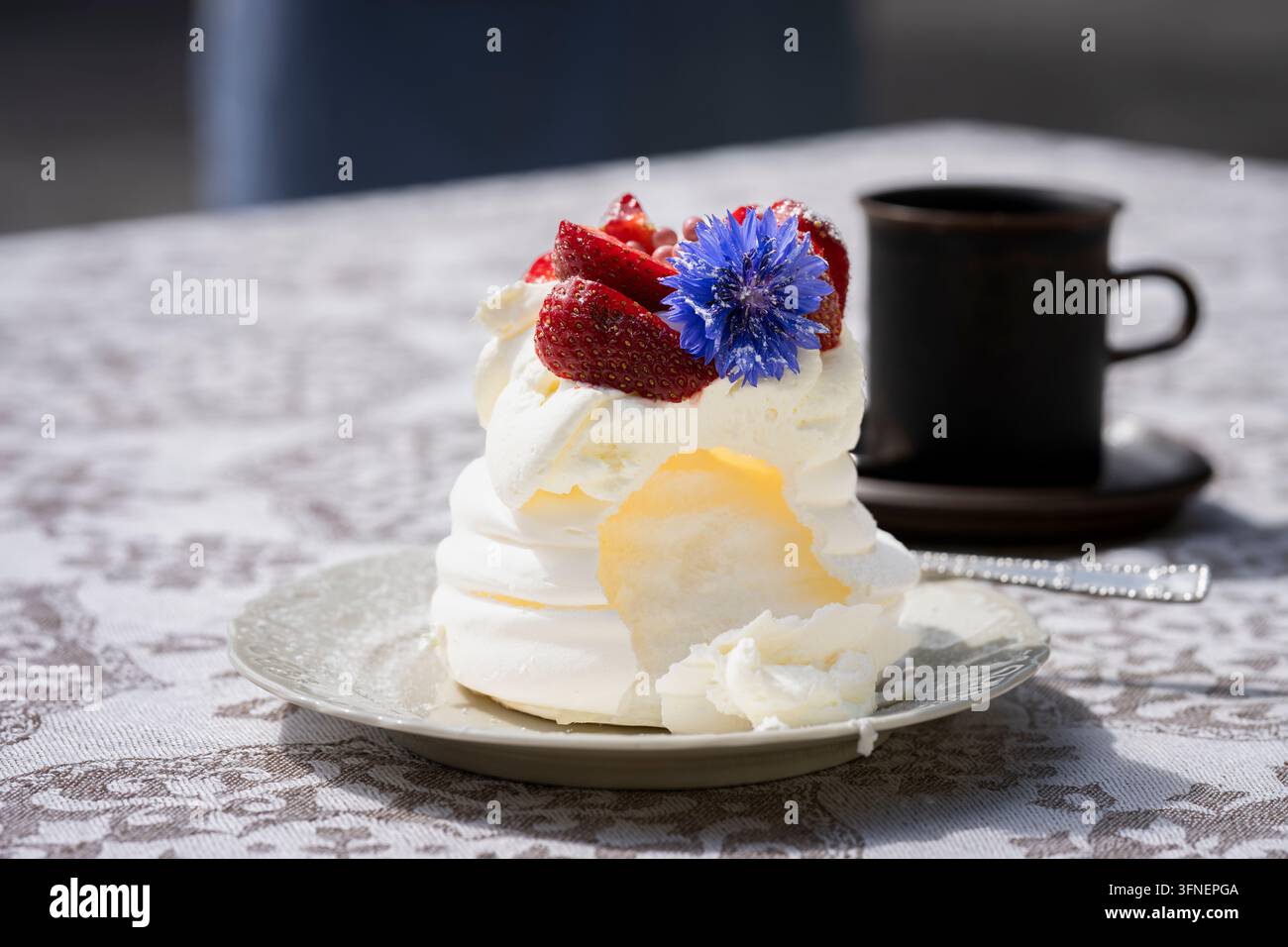 Pavlova-Dessert mit knuspriger Baiser und weicher Schlagsahne sowie frischen Erdbeeren, gekrönt mit einer leuchtend blauen Kornblume. Stockfoto