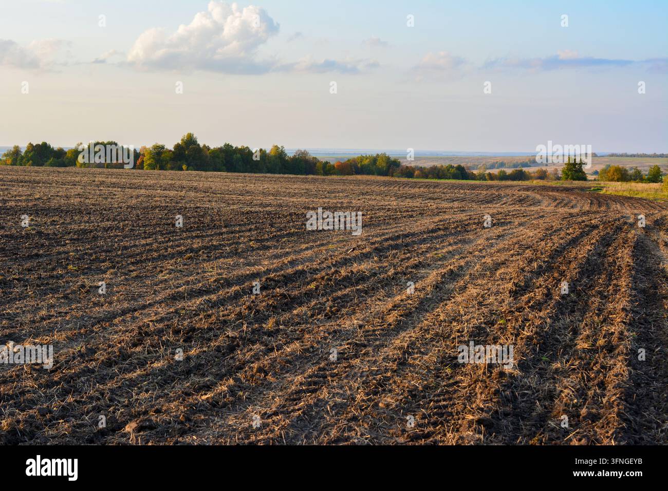 Pflügendes Agrarfeld in ländlicher Landschaft im Herbst, Kopierraum Stockfoto