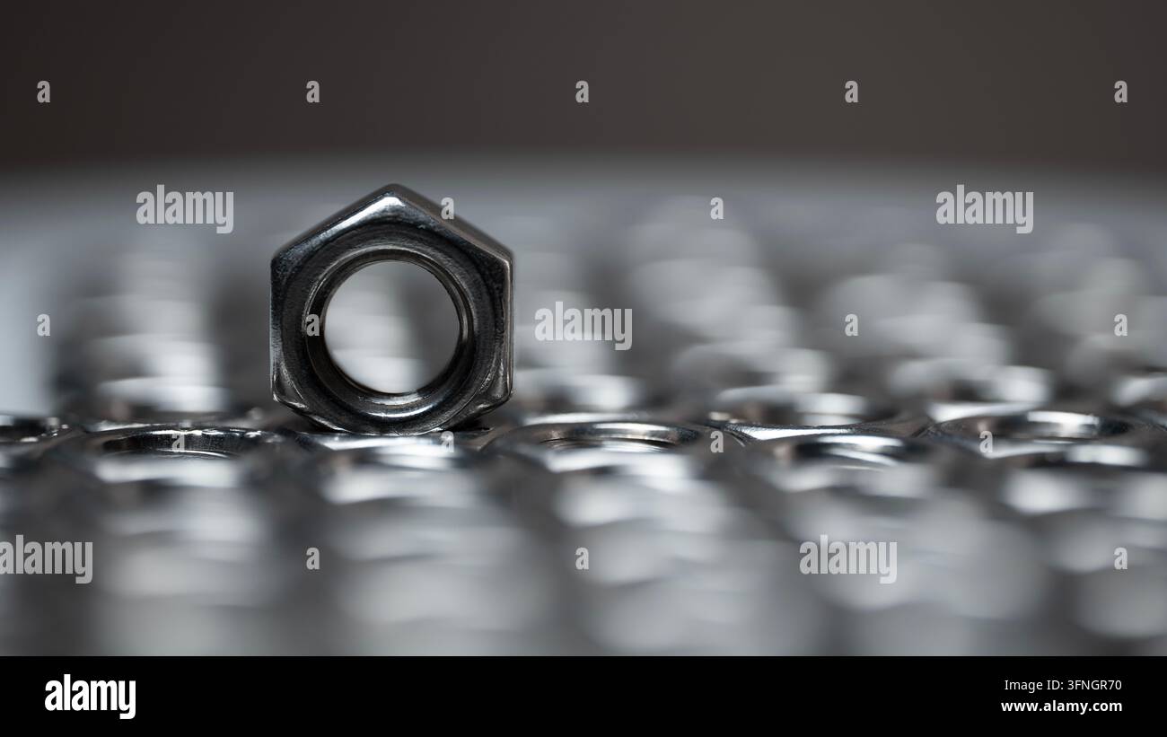 Eine einzelne Metallmutter, die sich von einer unscharfen Reihe anderer abhebt Stockfoto