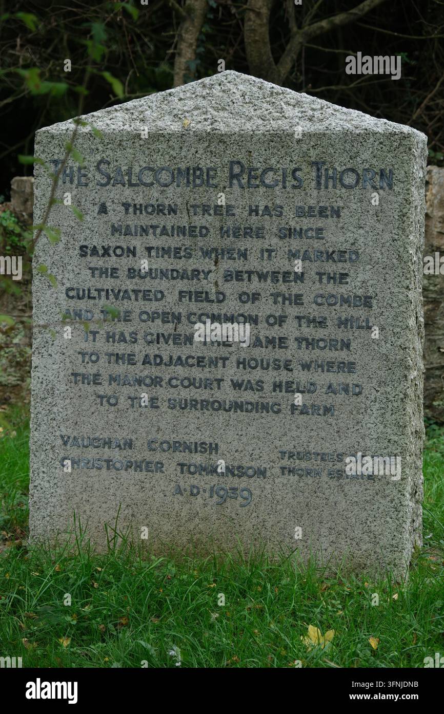 Der Salcombe Regis Dorn-Erklärungstein, ein alter Grenzstein zwischen dem kultivierten Land des Gemeinschaftslandes und dem wilden Gemeinschaftsland, Devon UK Stockfoto