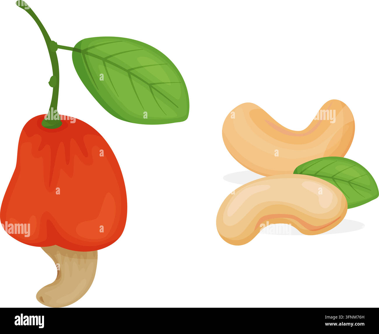 Cashewnüsse mit Fruchtbrühe Illustration Stock Vektor