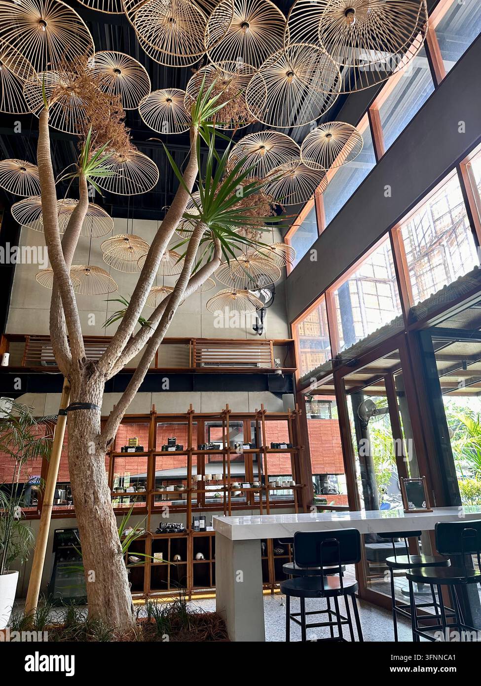 Gewebte Pendelleuchten umgeben einen Indoor-Baum in einem sonnendurchfluteten zeitgenössischen Café. - Smartphone-aufgenommenes Stockfoto