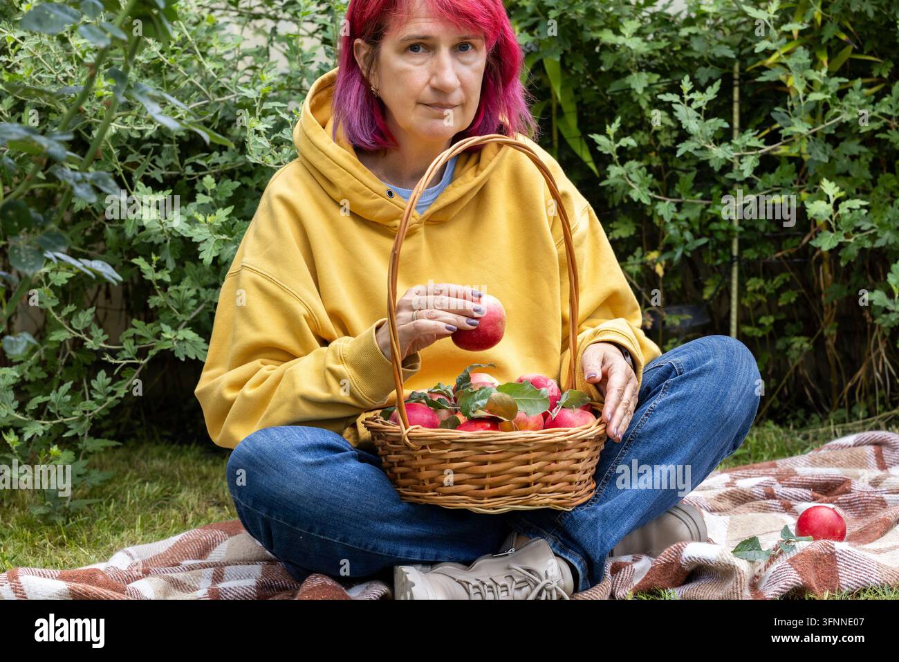 Frau mit rosa Haaren, die einen gelben Hoodie und Jeans trägt, sitzt im Schneidersitz auf einer Picknickdecke in einem grünen Garten und hält einen frisch gepflückten roten Apfel Stockfoto