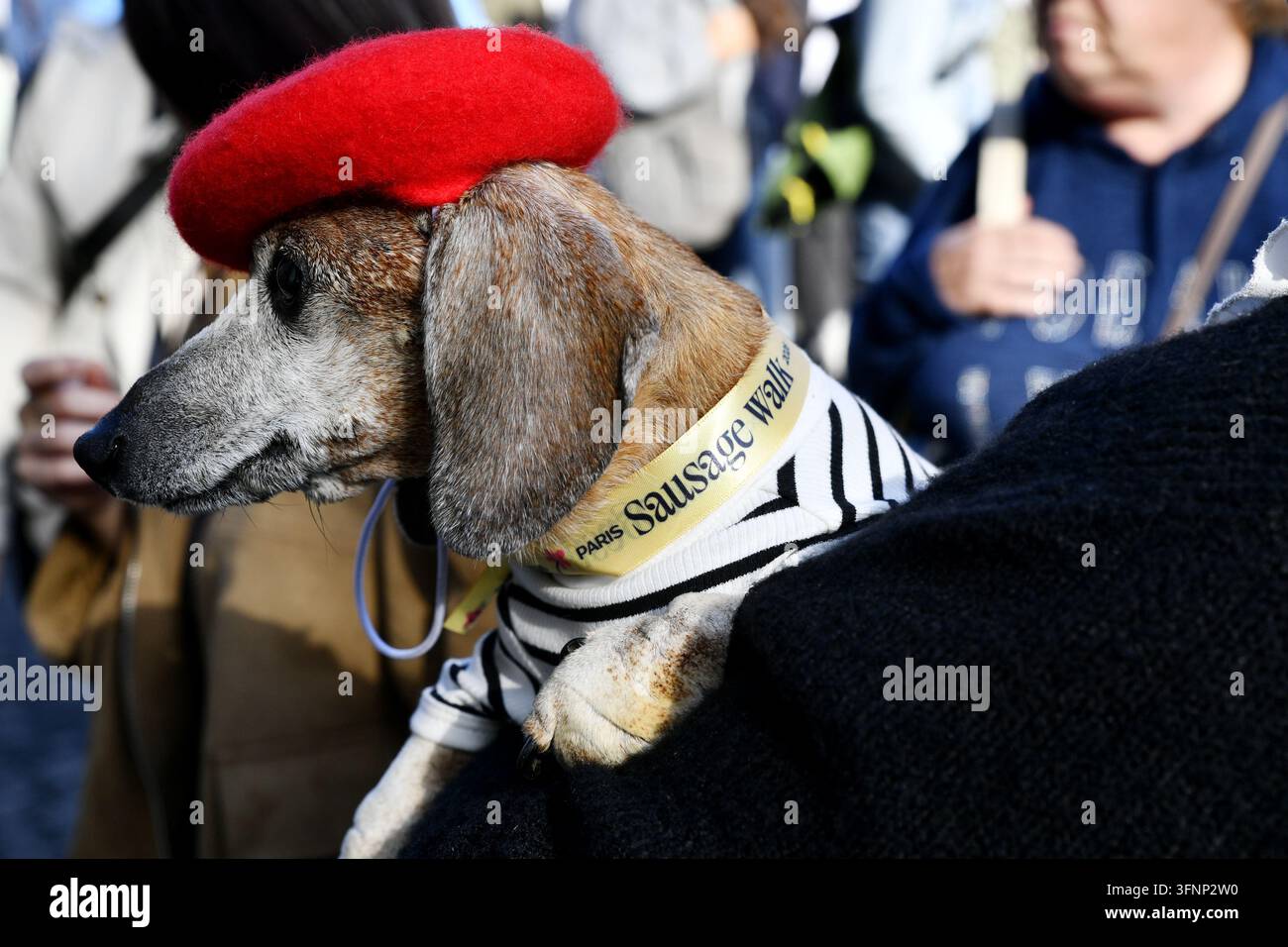 „Paris Sausage Walk“ 2026 auf den Champs-Élysées - Paris - Frankreich Stockfoto