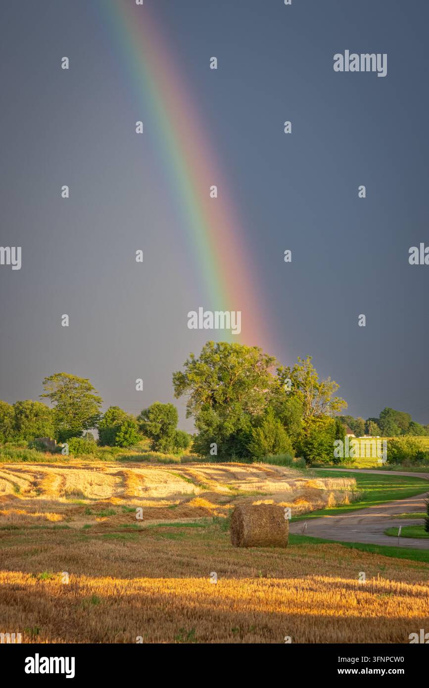 Regenbogen, der über eine nach dem Regen erntereiche Landschaft in der Dämmerung scheint. Landschaftsbild nach dem Regen. Stockfoto