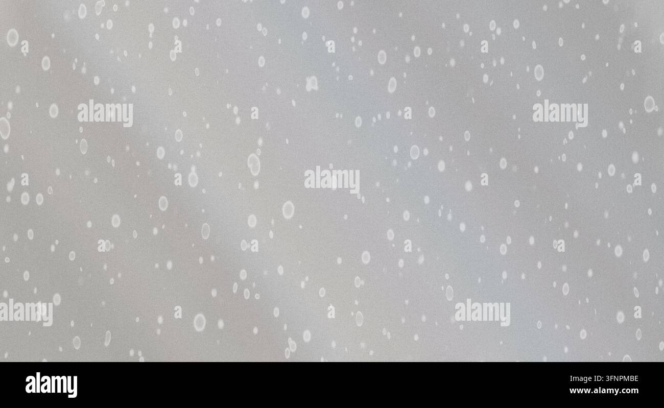 Ein sauberer, hellgrauer, texturierter Hintergrund, der mit zarten weißen Punkten übersät ist, für ein weiches und minimales Design. Stockfoto