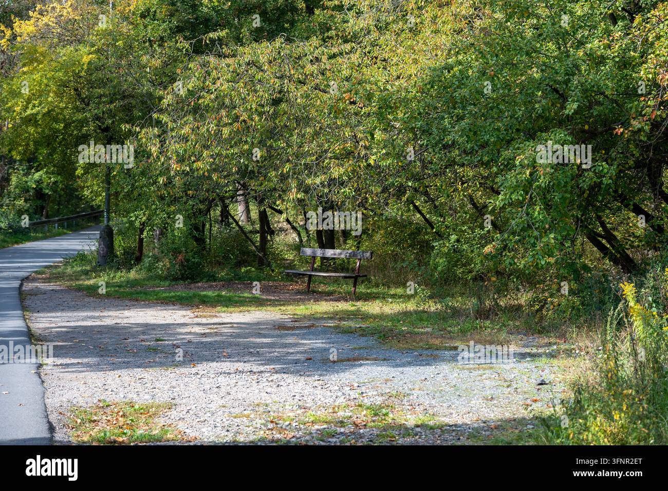 Holzbank neben einem ruhigen gepflasterten Weg, umgeben von dichtem Herbstwald im Prokop-Tal. Prag, Tschechische Republik – 4. Oktober 2026. Stockfoto