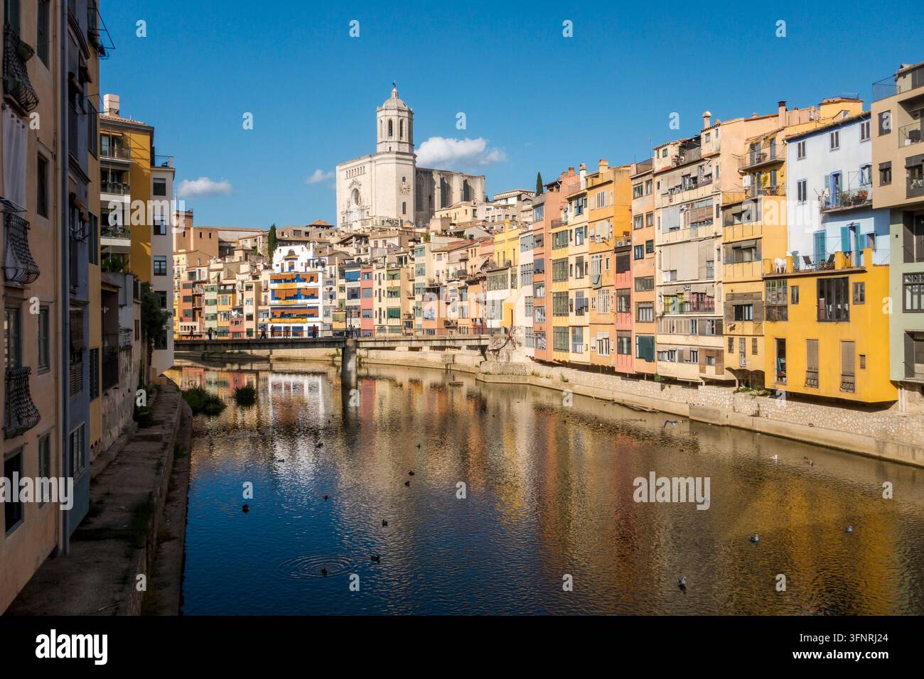 Girona, Katalonien, Spanien. Blick auf die riesige gotische Kathedrale von St. Maria aus dem 13. Jahrhundert mit der Pont de Sant Agusti Brücke über dem Fluss Onyar im Stadtzentrum Stockfoto