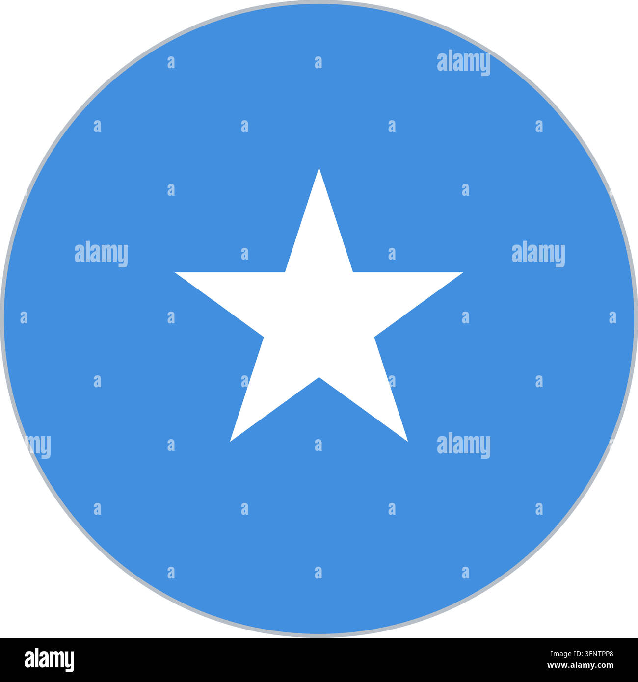 Rundes kreisförmiges Flaggen-Icon von Somalia (Somalia) in offiziellen Farben, flacher Vektor-Button, isoliert auf weißem Hintergrund. Stock Vektor