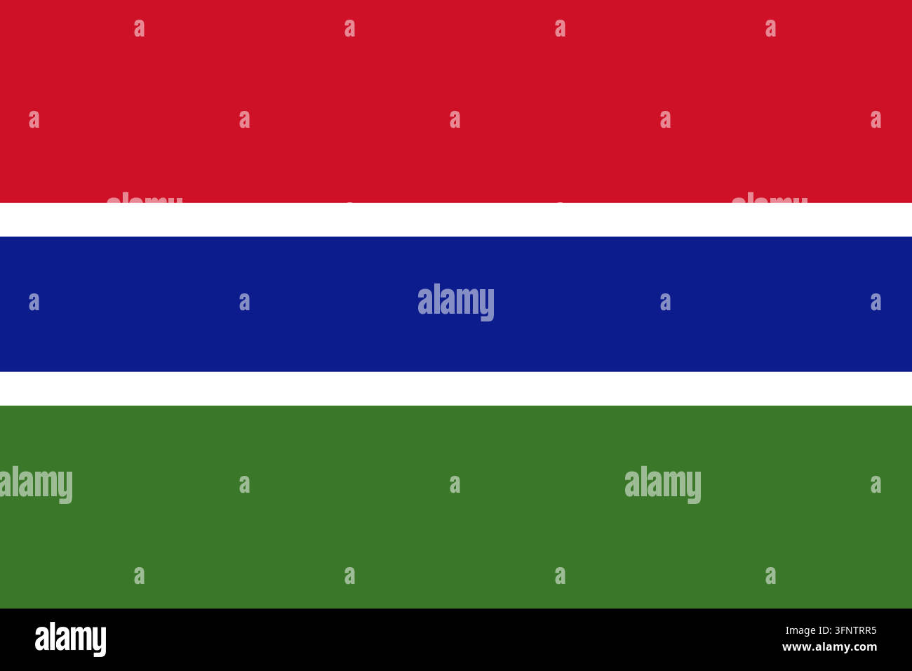 Nationalflagge von Gambia (Gambia), offizielle Farben und Proportionen. Vektorillustration der Flagge, isoliert auf weißem Hintergrund. Stock Vektor