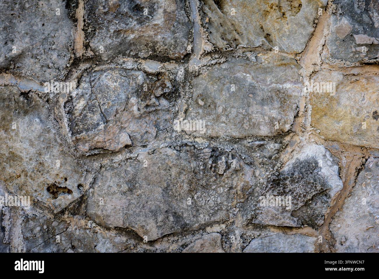 Alte raue Steinmauer mit Mörtel und Fossilien – Historischer Grunge-Rock-Texturhintergrund Stockfoto