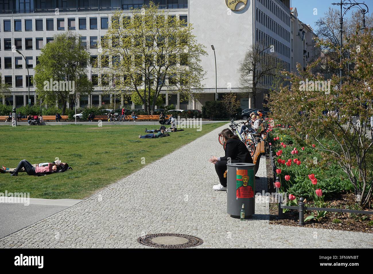 Steinplatz-Public-Square mit Rasen, Bäumen und Bürogebäuden an einem sonnigen Frühlingstag, Berlin, Deutschland, April 2019 Stockfoto