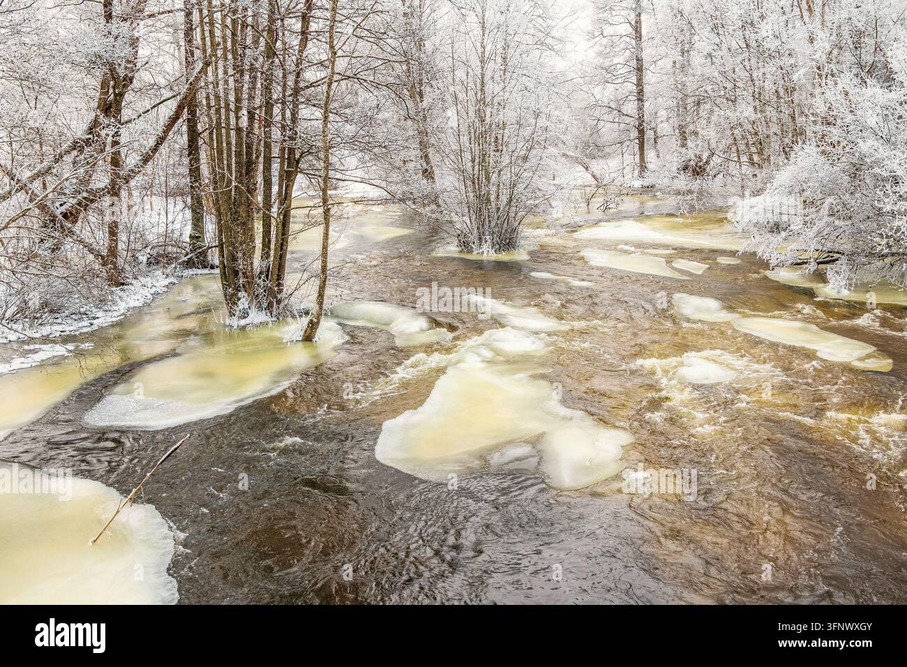 Überfluteter Bach mit Eisschollen an einem kalten Wintertag Stockfoto