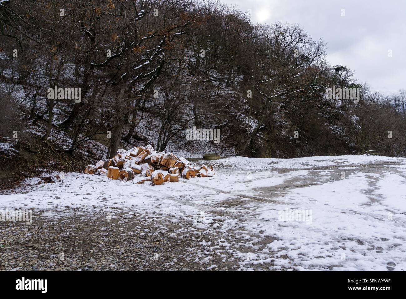 Gesägte Baumstämme und Brennholz im Schnee am Waldrand. Stockfoto