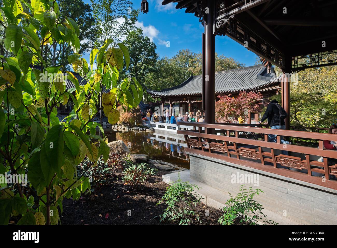 RHS Bridgewater Garden Chinesischer Garten, eröffnet im September 2026. Stockfoto