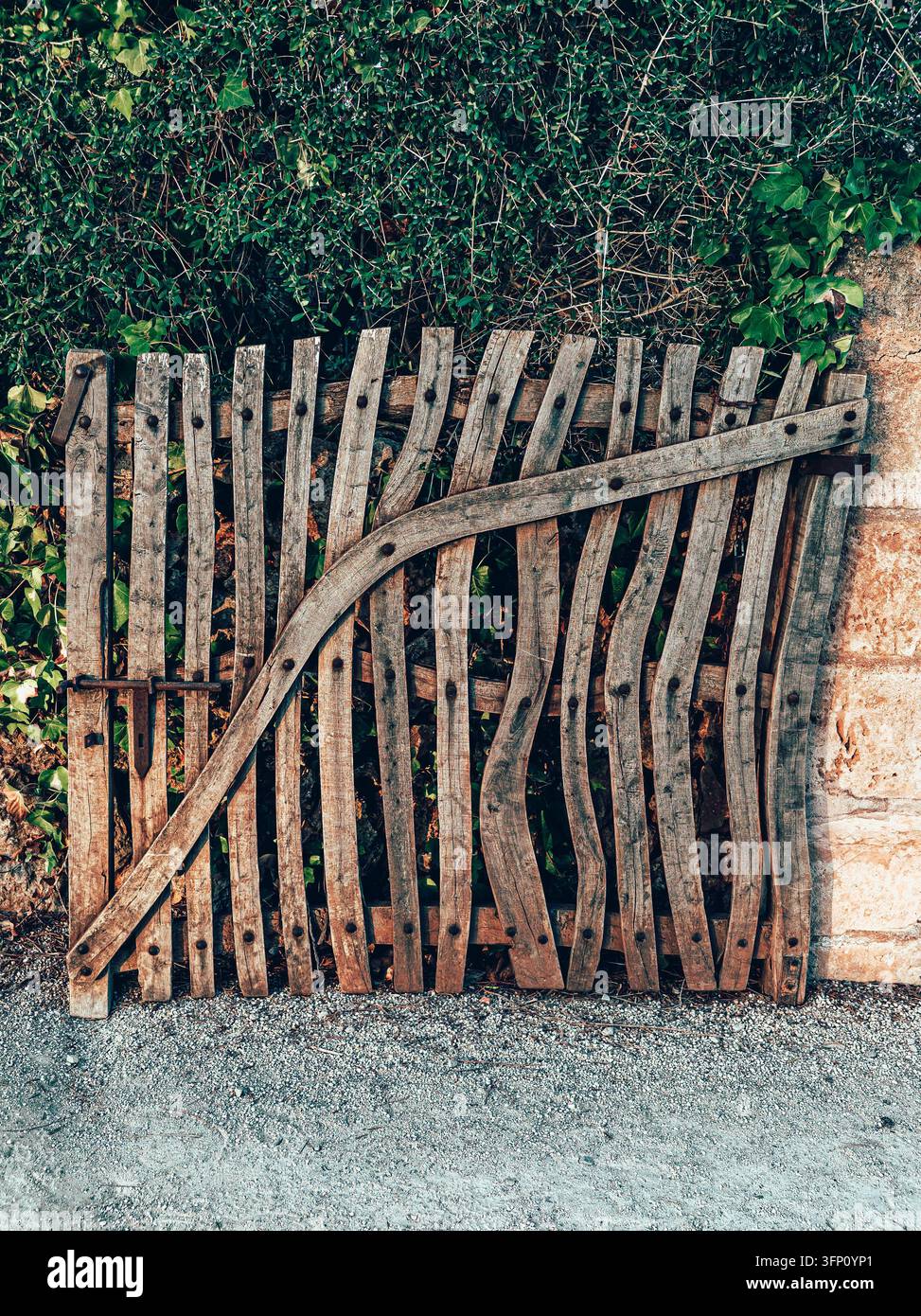 Ein gealtertes, rustikales Holztor mit einem Metallriegel, vor einem Hintergrund aus lebhaftem grünem Laub und einer strukturierten Steinmauer. Das warme natürliche Licht betont Stockfoto