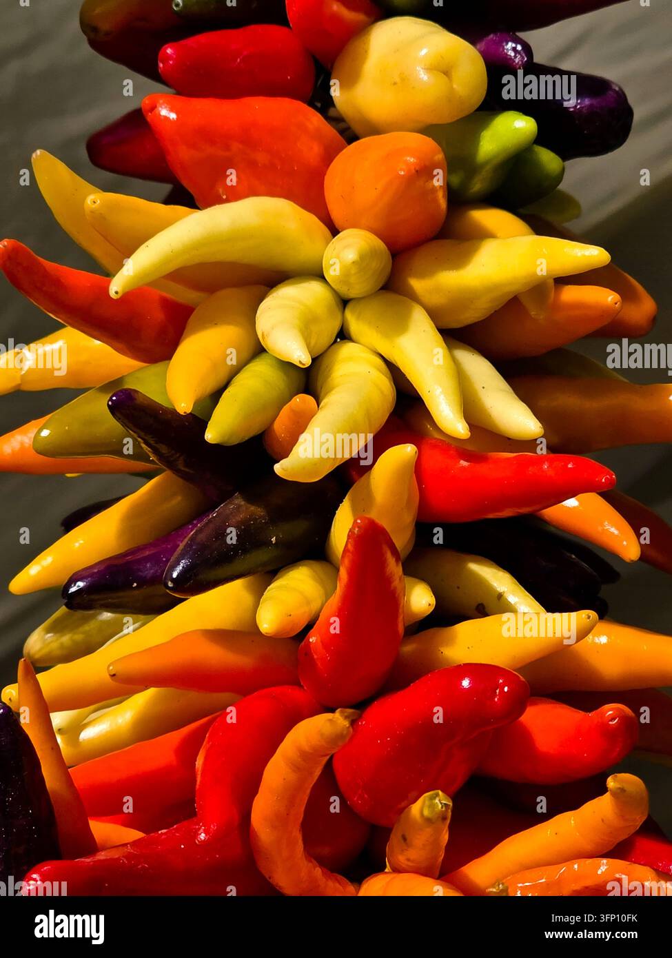 Buntes Sortiment an frischen gelben, roten, orangefarbenen und violetten Chilischoten Stockfoto