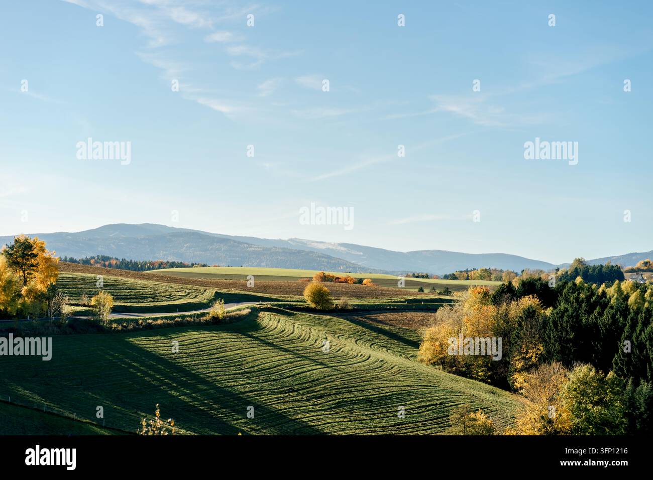 Herbstfelder erstrecken sich bis zu fernen Bergen unter klarem Himmel. Konzept von Landwirtschaft, Landschaft, Jahreszeitlichkeit, Natur, Landschaft und ländlicher Szenerie Stockfoto