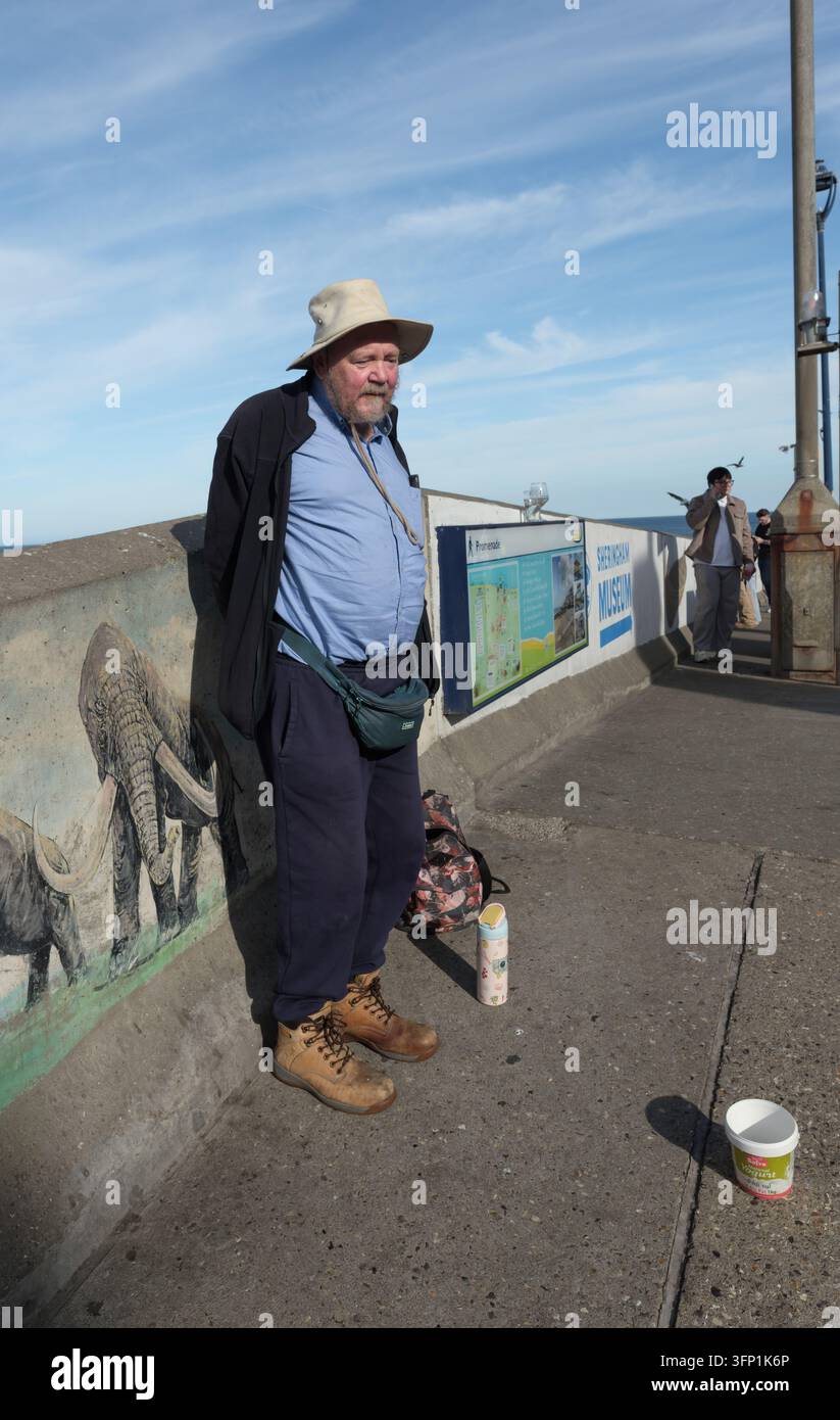 Ein älterer Mann bettelt an der Strandpromenade in Sheringham, Nord-Norfolk, UK. Stockfoto