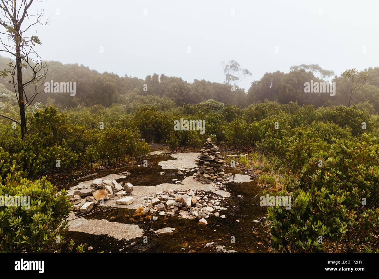 WARBURTON, AUSTRALIEN – 30. MÄRZ 2025: Eine neblige Landschaft mit einem markanten Steinhaufen, umgeben von grünen Sträuchern und Bäumen, charakteristisch für die Warbu Stockfoto