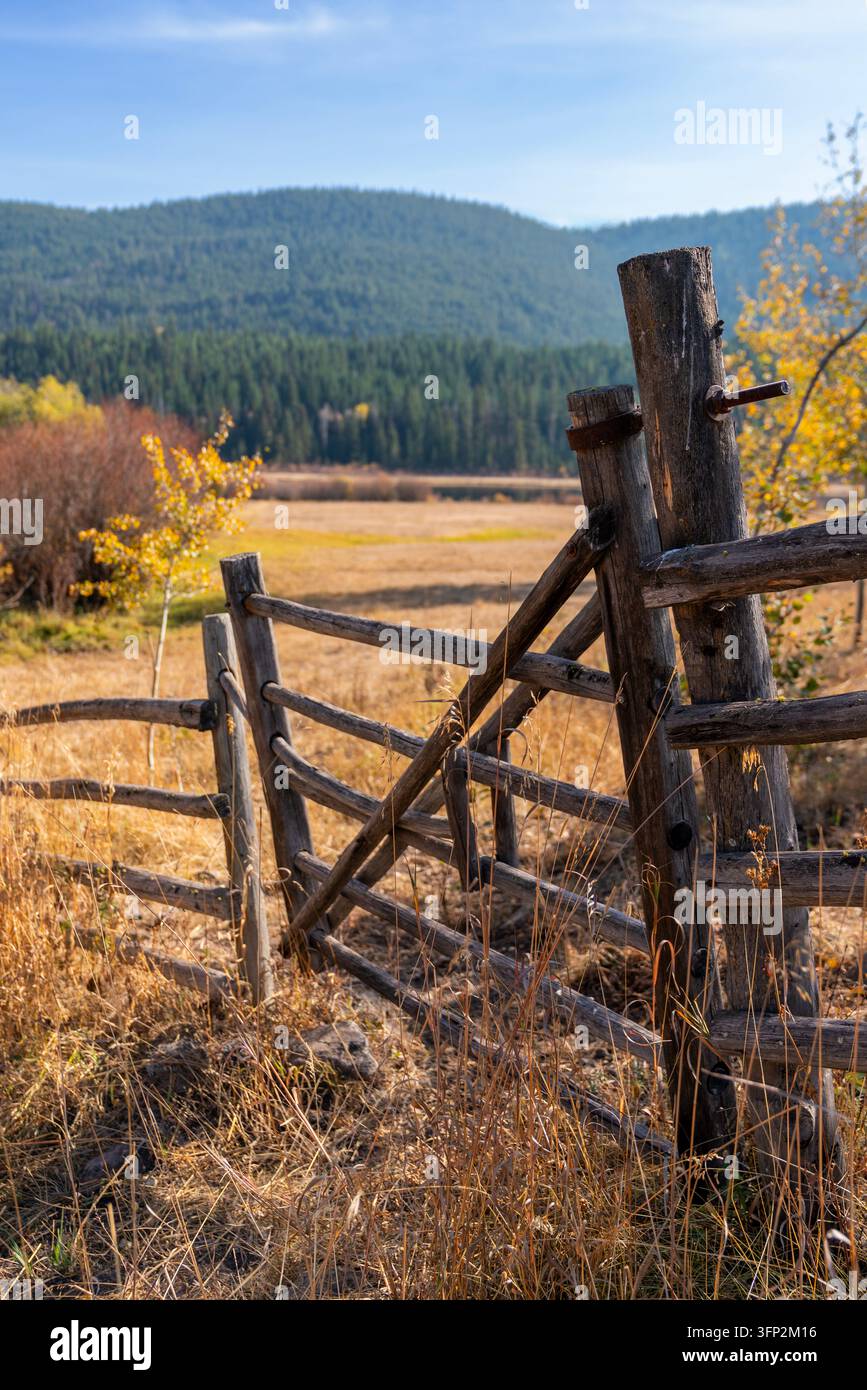 Rustikales Ranch-Tor und Weide vertikal Stockfoto