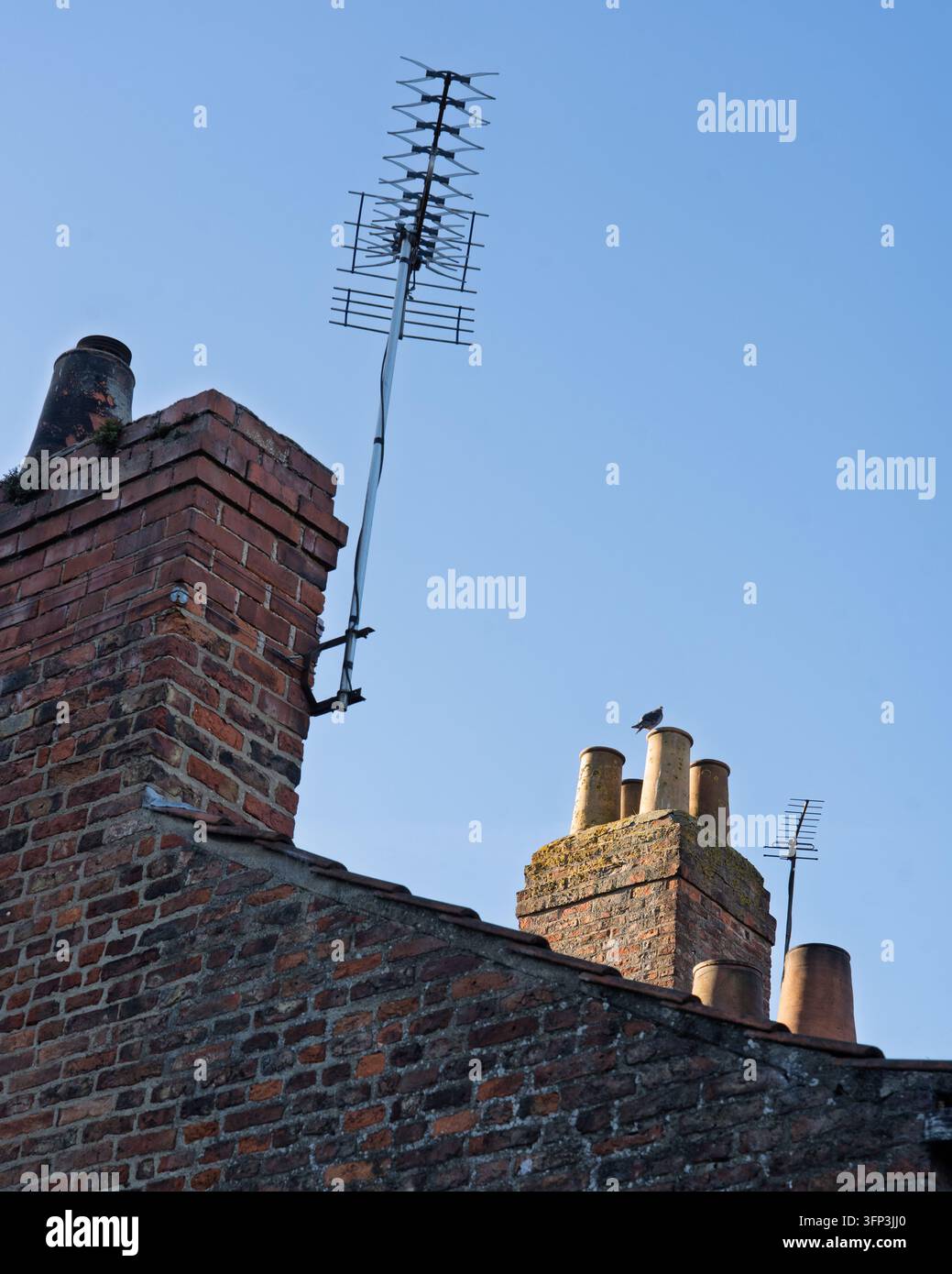 Dach von den Stadtmauern aus, York, England Stockfoto