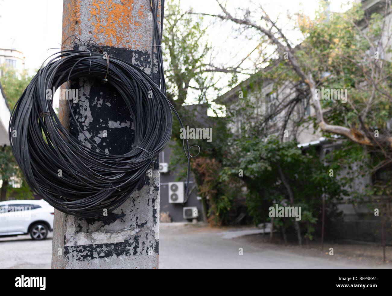 Eine lebendige urbane Szene mit verwinkelten Überkopfstromleitungen, die sich mit Bäumen verflechten. Technologie und Natur in einer modernen Stadt Stockfoto