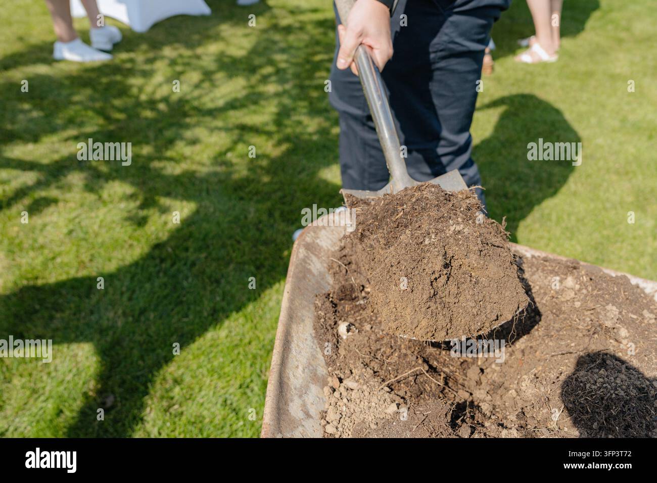 Eine Person lädt mit einer Schaufel Erde in eine Schubkarre auf einer Wiese auf Bodenhöhe. Die Szene zeigt eine produktive Gartenaktivität in einer Stockfoto