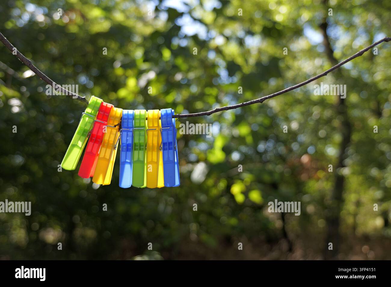 Hellfarbige Plastikklammern, darunter grün, rot, gelb und blau, sind ordentlich auf einem dünnen, trockenen Ast gegen einen weichen, verschwommenen Hintergrund angeordnet Stockfoto