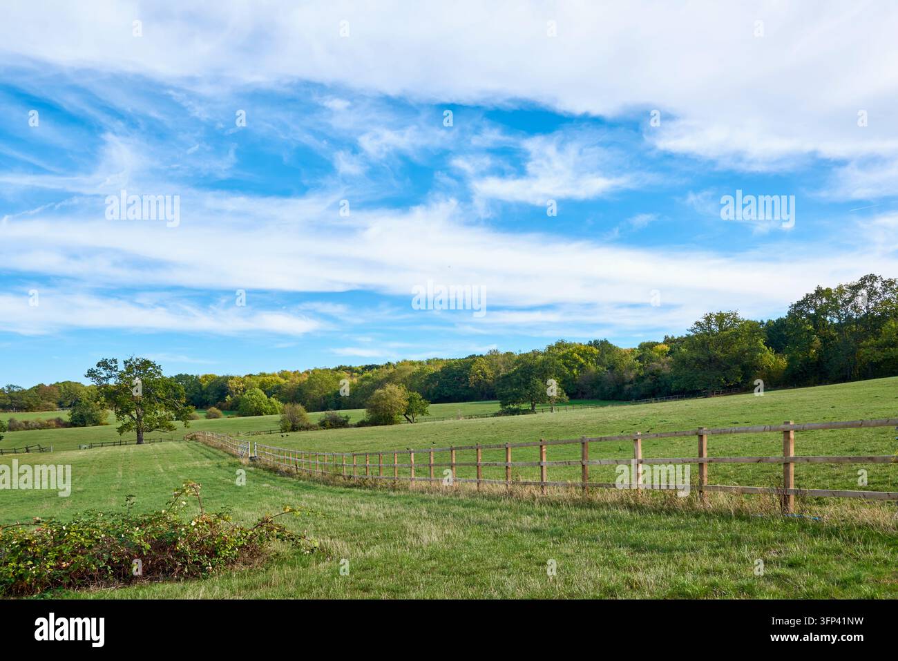 Landschaft in der Nähe von Elstree, Hertfordshire, UK, im Herbst Stockfoto