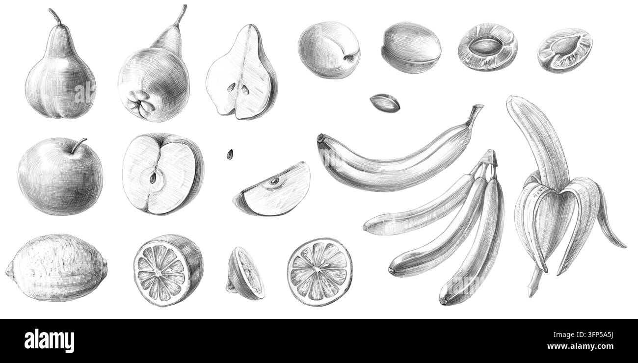 Obst-Illustrationsset im Bleistiftstil. Detaillierte Kunstwerke für Restaurants, Food-Blogs, Lebensmittelmarken, Bauernhöfe, Supermärkte, Gemüsestände, Saftbars, chi Stockfoto