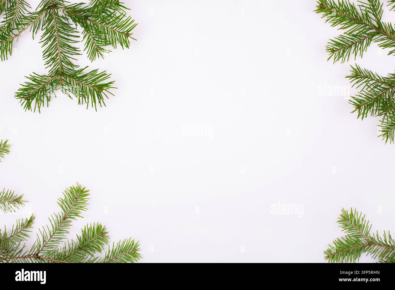 Feste Weihnachts-Hintergrund. Fröhliche Weihnachts-Hintergrund. Tannenwedel Weihnachtsbaum, tolles Design für alle Zwecke Topansicht Stockfoto