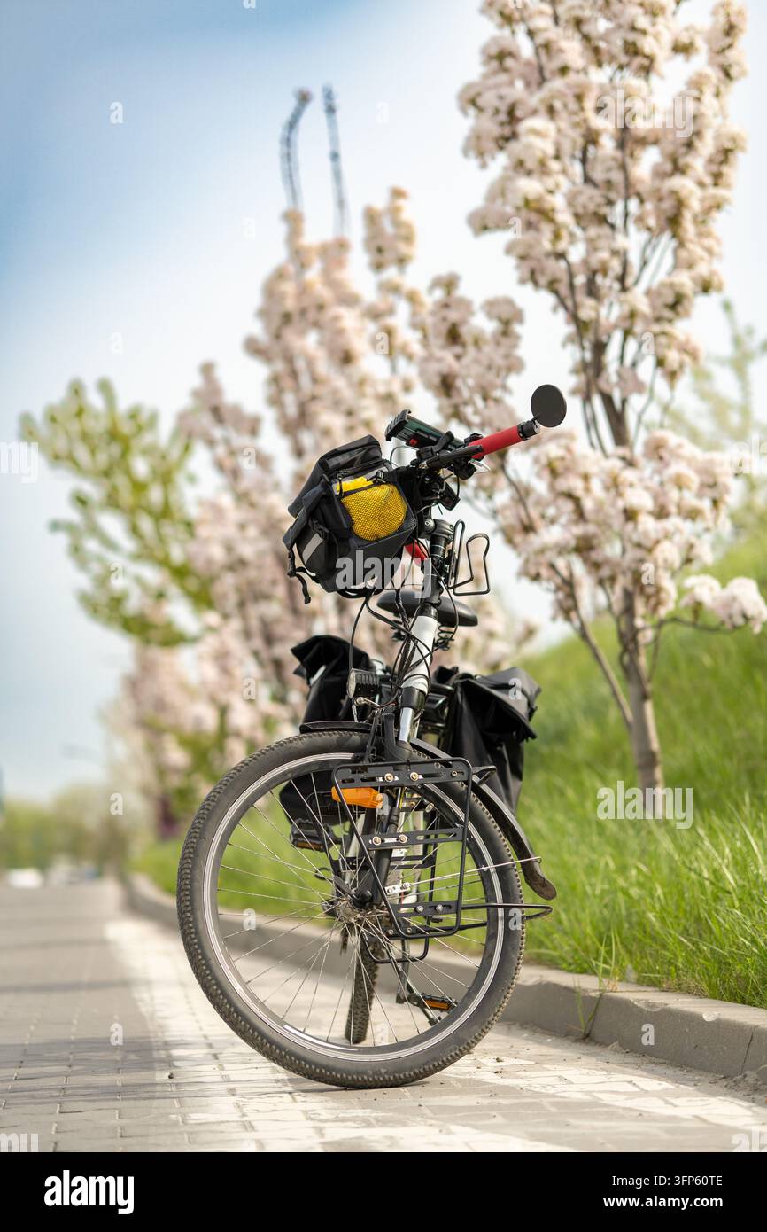 Abenteuer-Tourenfahrrad, das auf einem Stadtpflaster neben einem grünen grasbewachsenen Hang und blühenden Frühlings-Kirschblütenbäumen unter klarem Himmel geparkt ist Stockfoto